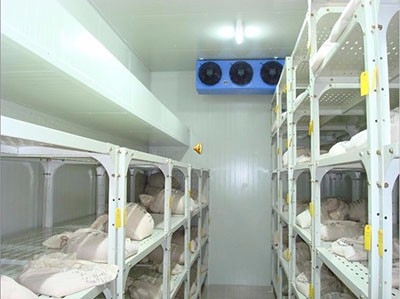 Cold Room Storage