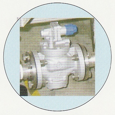 Japan brand Pressure Reducer