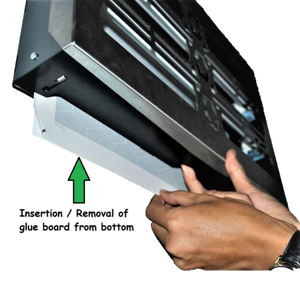 Insertion/removal of glue board