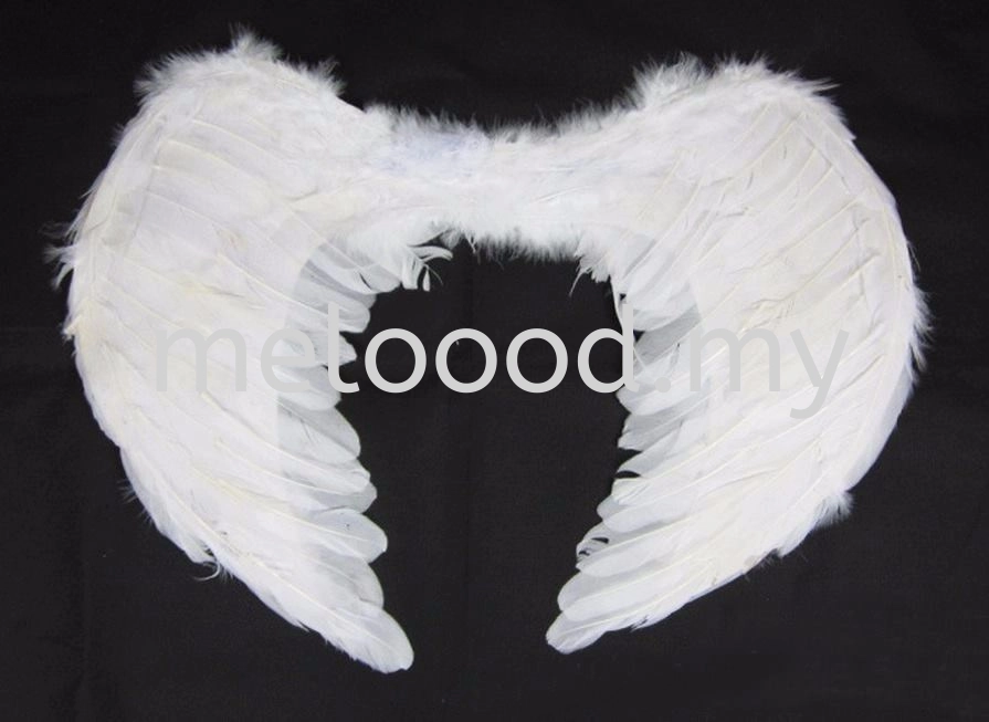 Straight Angel Wing 