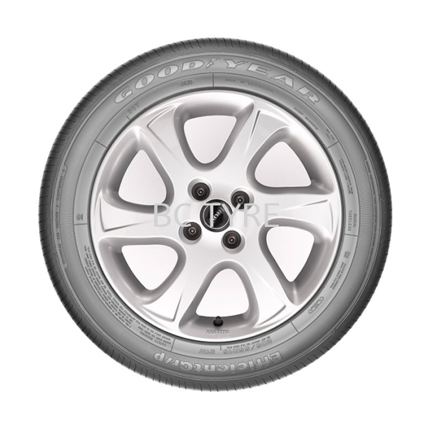 Goodyear Eagle EfficientGrip