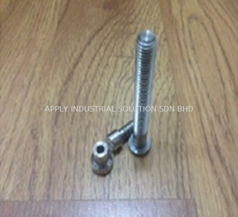 Customised Screw