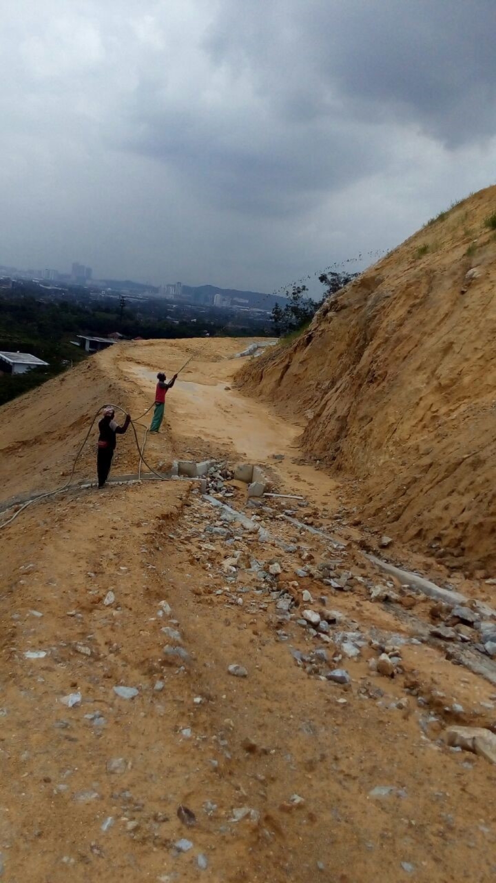 Hydroseeding