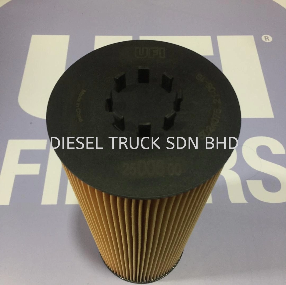 Oil Filter (25.006.00)