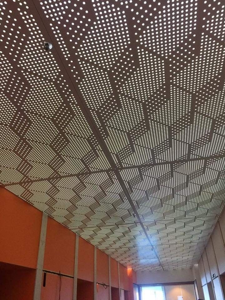 Perforated Facade Panel / Screening