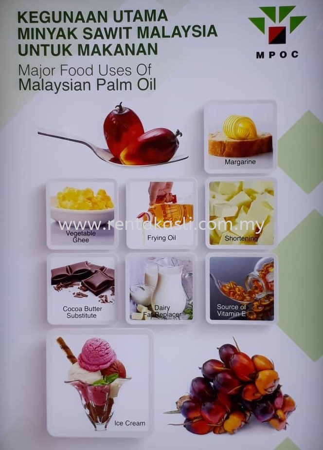 Palm Oil Products