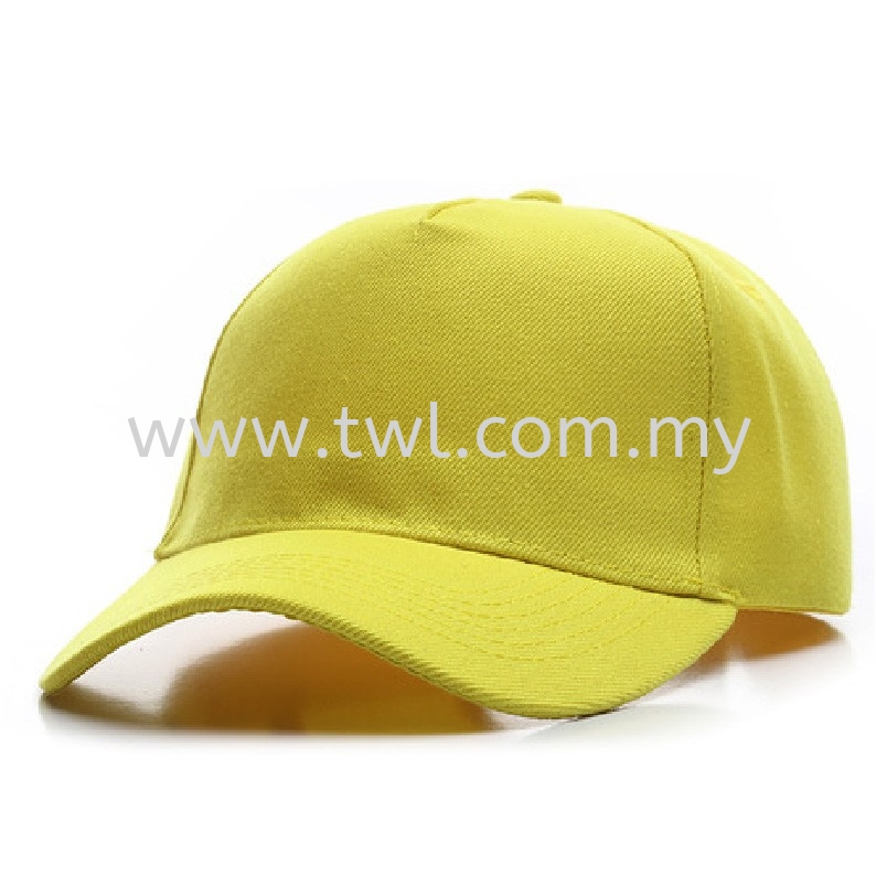 CP027 Wool Baseball Cap 