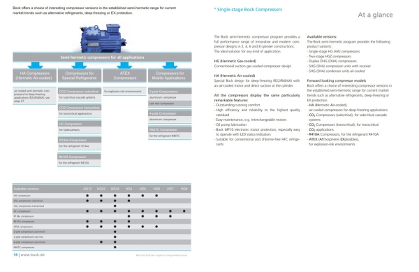 ATEX EXPLOSION PROOF TYPE COMPRESSOR MALAYSIA