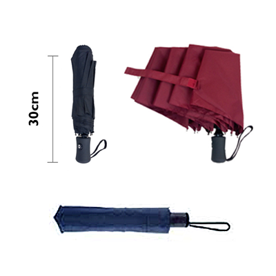 21'' Auto 3 Fold Umbrella - UM 1001