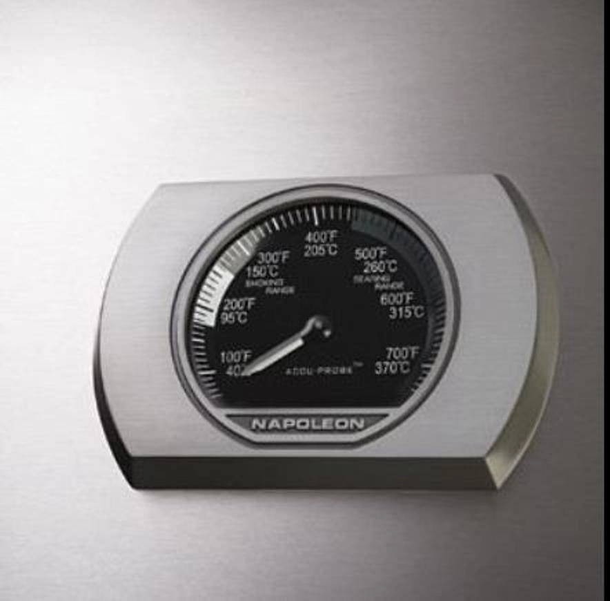 ACCU-PROBE Temperature Gauge