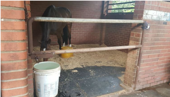 Equine Rubber Mat