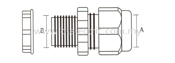 PG PVC Cable Gland Drawing