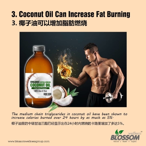 Blossom Extra Virgin Coconut Oil 500ml ؼեҬ
