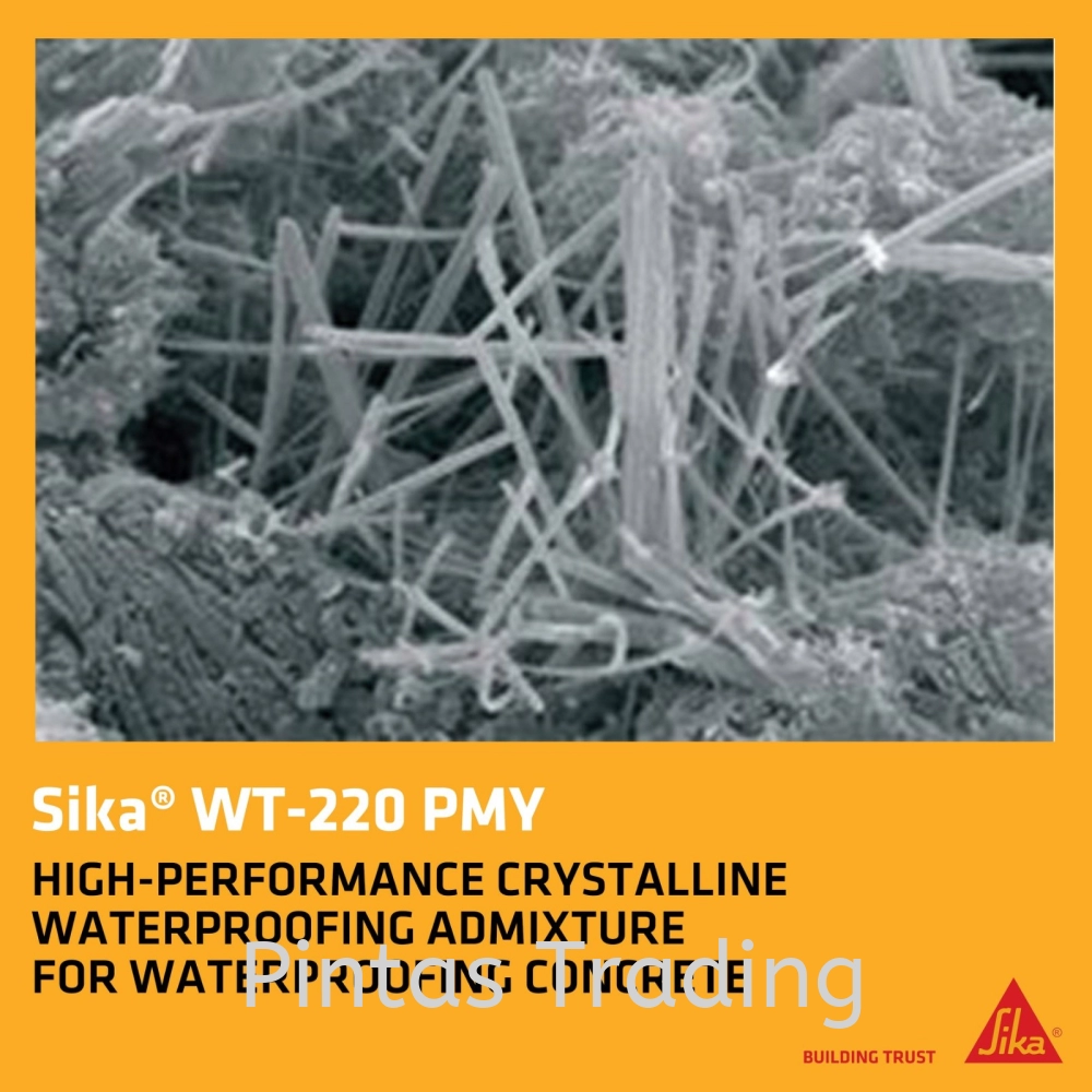 Sika WT 220 PMY | Water Resisting & Crystalline Waterproofing Concrete Admixture