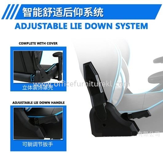 LIE DOWN SYSTEM