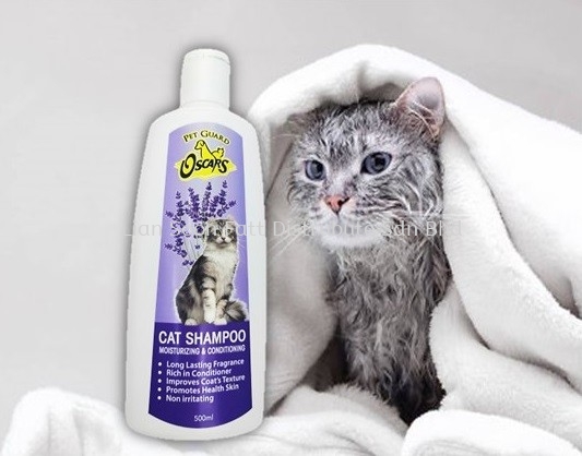 cat shampoo