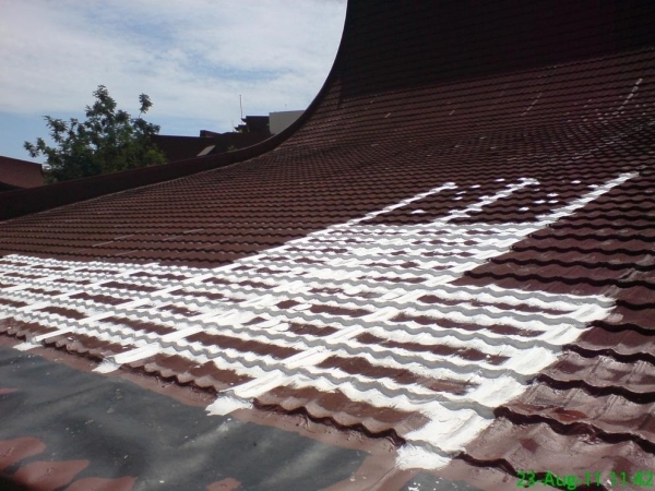 Metal Roof Leaking Solutions