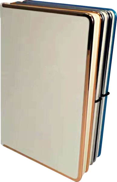 NOBLE Notebook (NB-010)