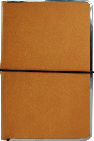 NOBLE Notebook (NB-010)