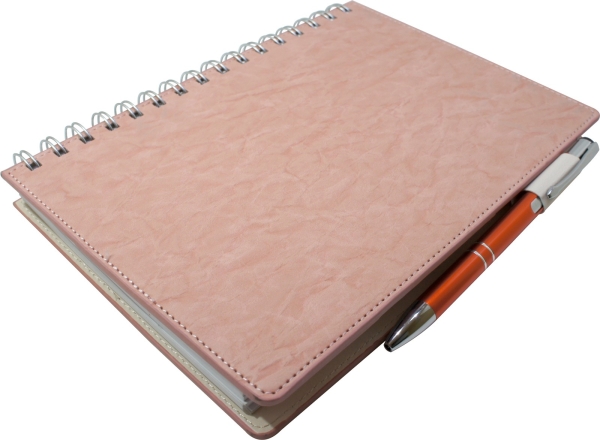 Journal Notebook (NB-023)