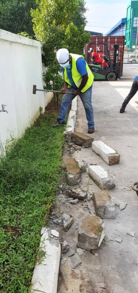 Dismantle Existing Curb