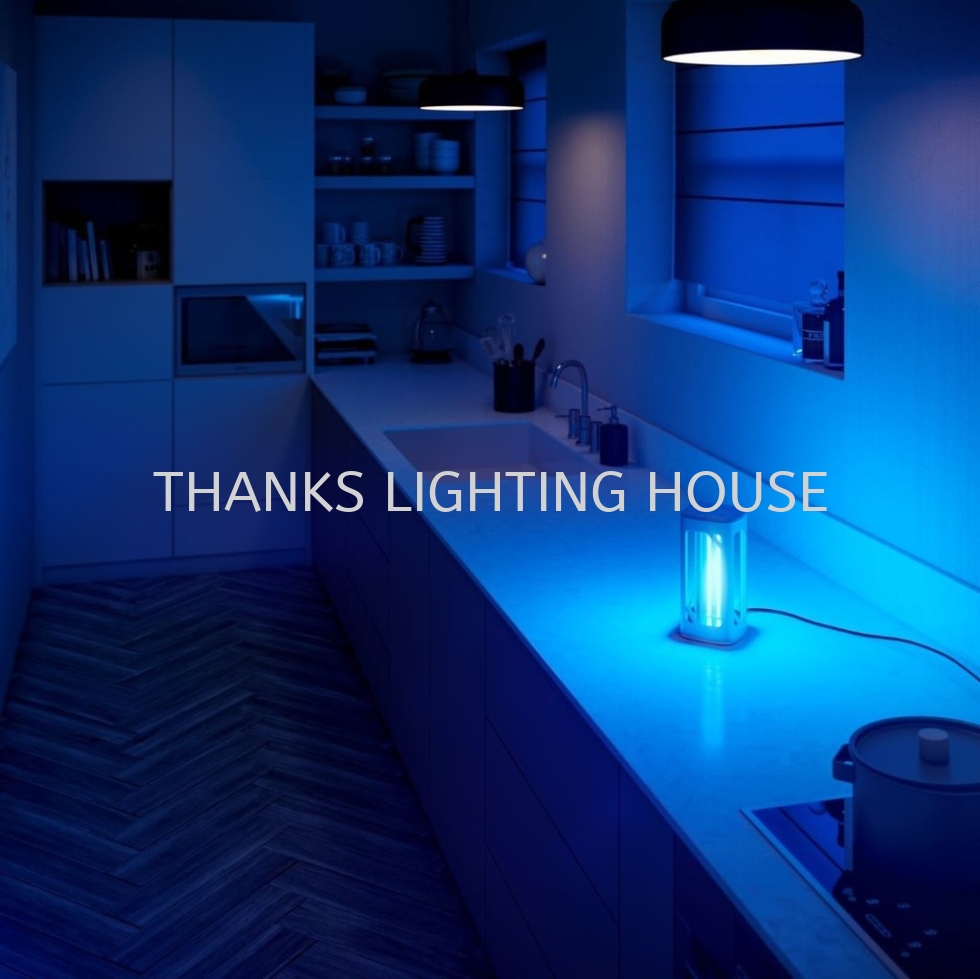 PHILIPS UV DISINFECTION DESK LAMP