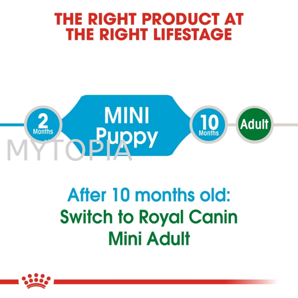 SHN Mini Puppy Hero 2