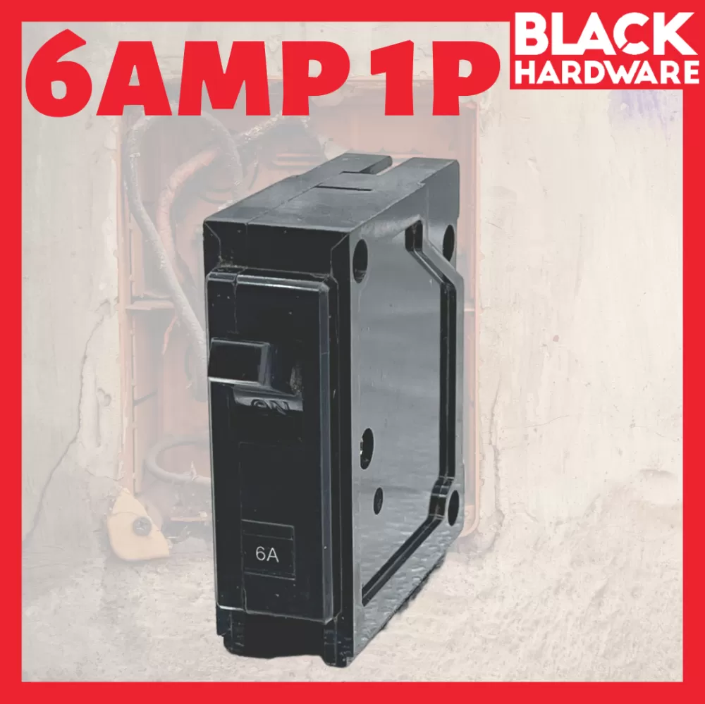 ELECTRIC BREAKER 60 30 6 AMP 3 1 P