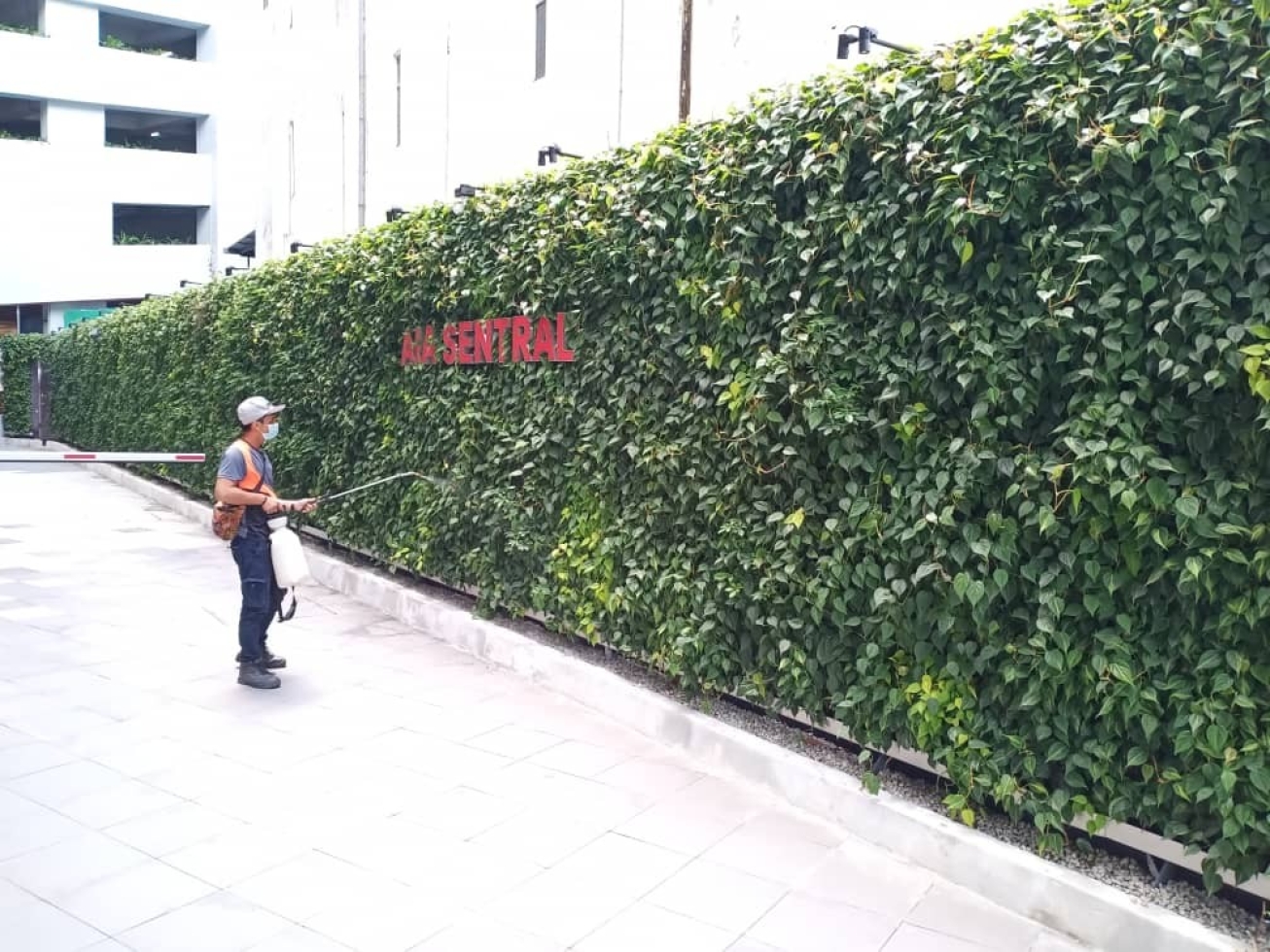 THL Green Wall vertical garden malaysia