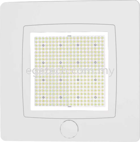 LED Canopy Light-CL01