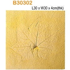 B30302