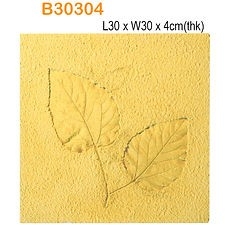 B30304