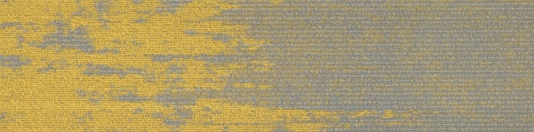 00332511B