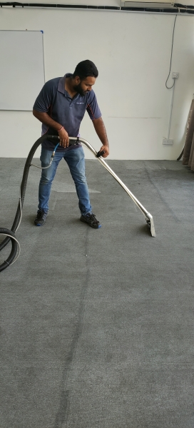 Rugs & Carpet Cleaning 