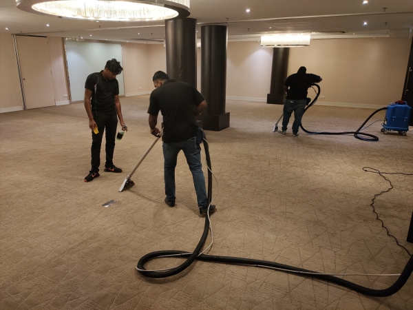 Rugs & Carpet Cleaning 