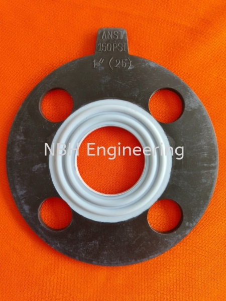 DN25 Flange Gasket