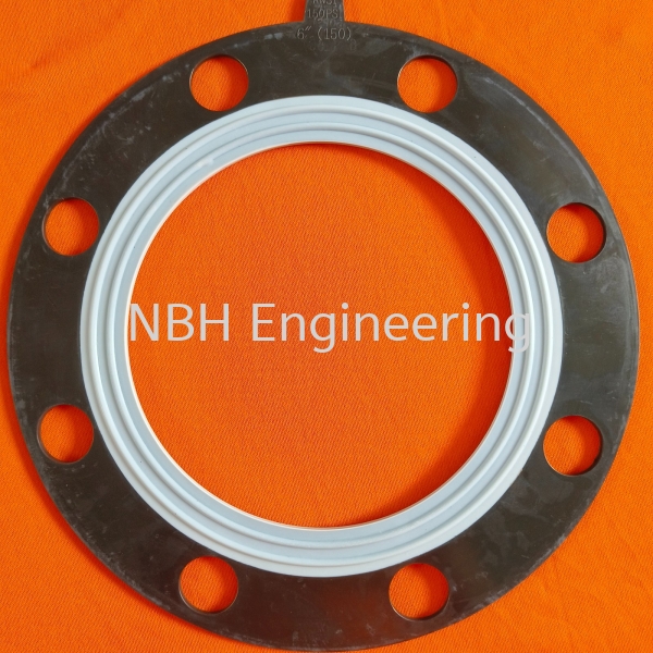 DN 150 Flange Gasket