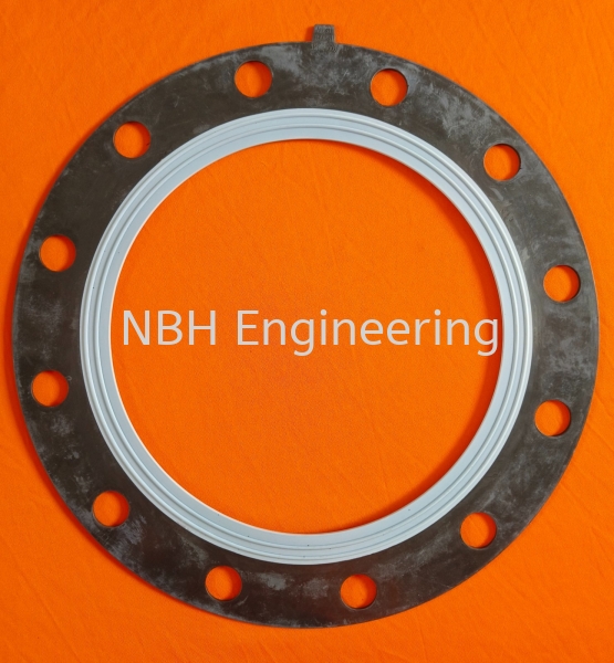 DN300 Flange Gasket