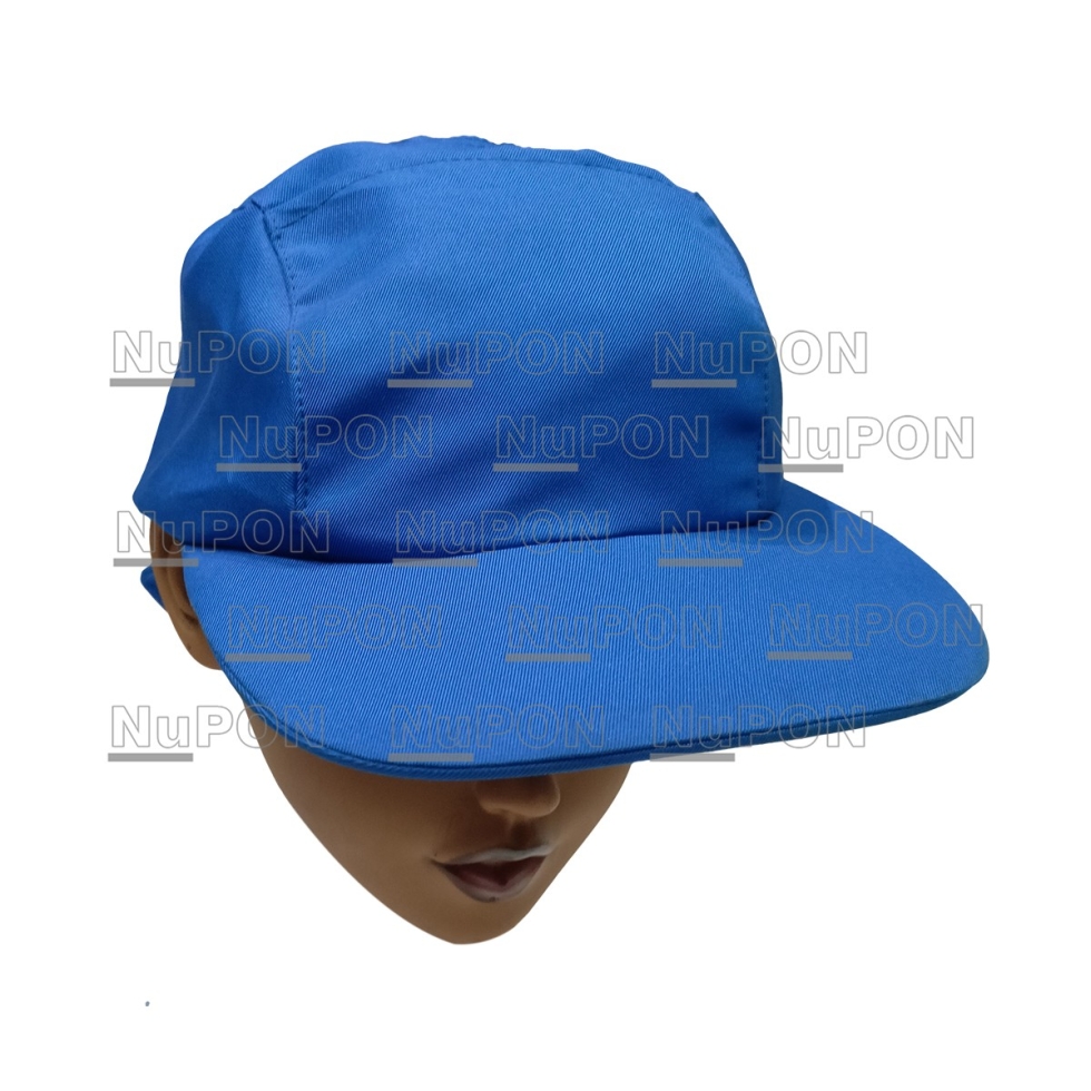 Ordinary Headcap with Hard Visor