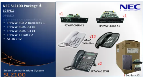 NEC SL2100 Package 3