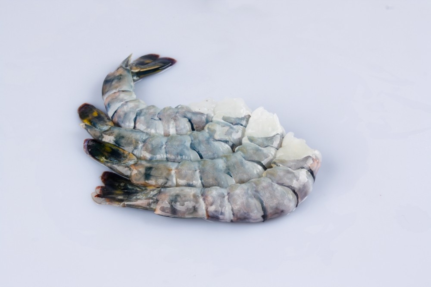 Black Tiger Prawn (Peeled-Tail-On)