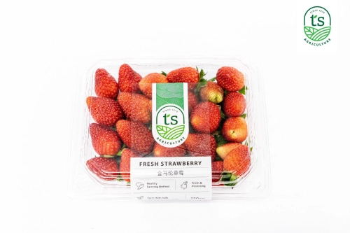 Strawberry 250gm+-