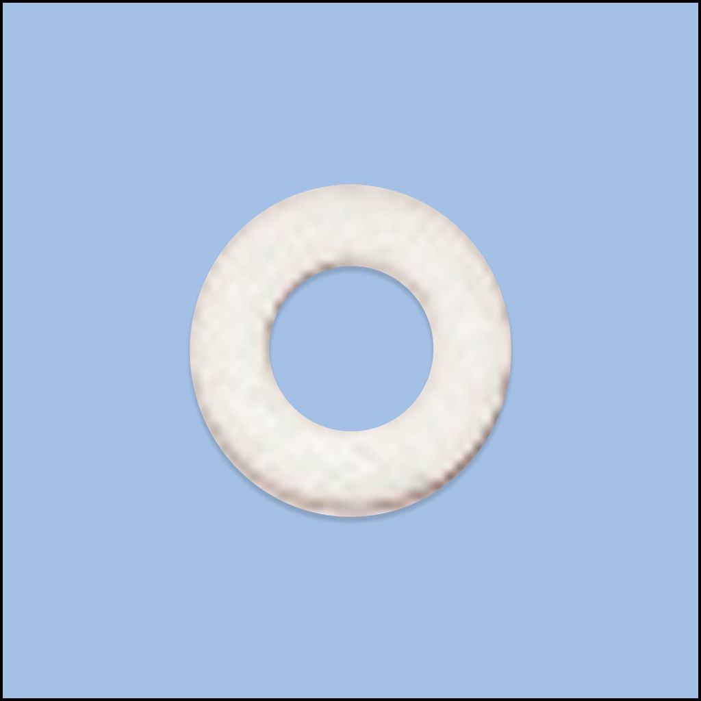 CAP GASKET (244246)