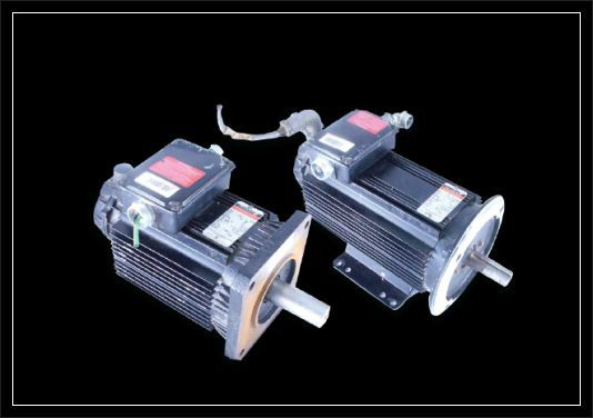 Reliance  AC Motor