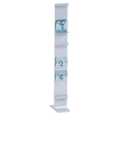 Showy-7525