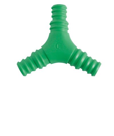 Showy-8074