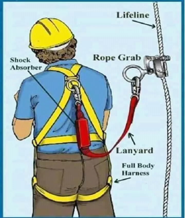 Full body  harness