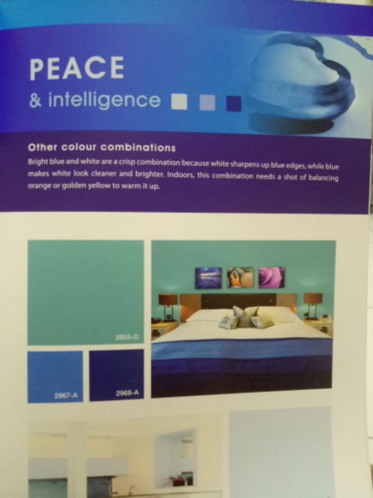 colourland Paint 