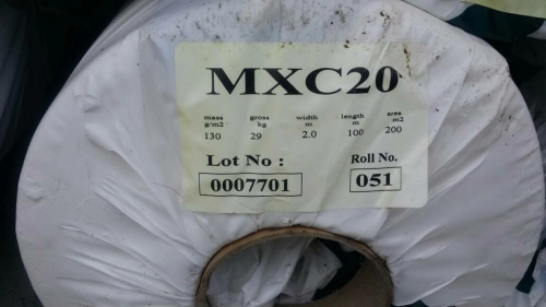 geotextile G20