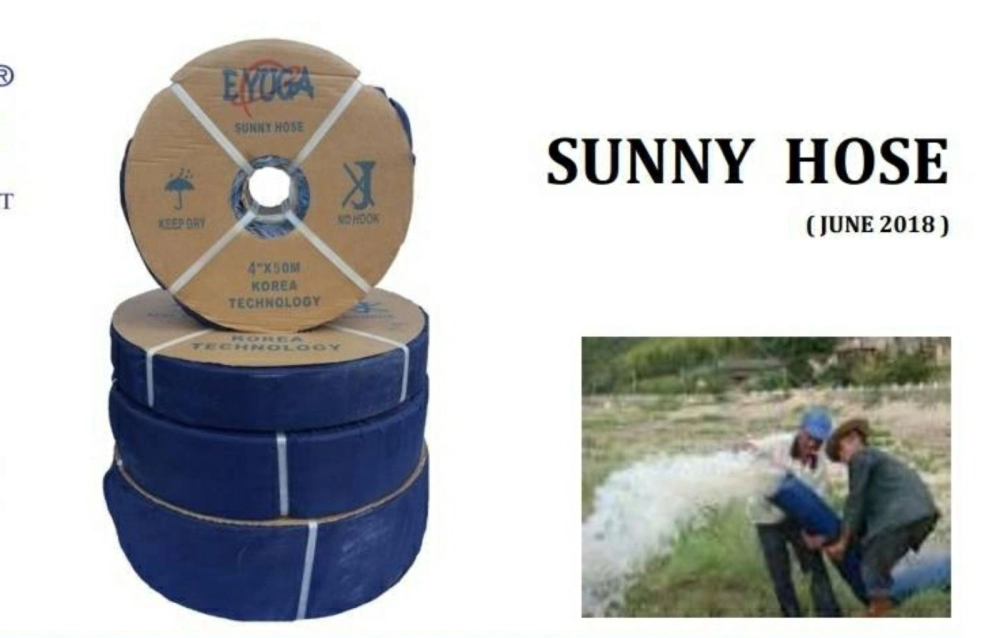 sunny hose